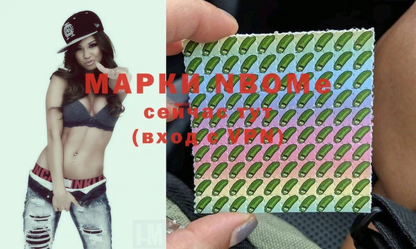прущие крисы Новозыбков