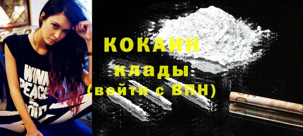 прущие крисы Новозыбков