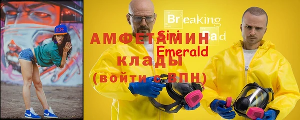 прущие крисы Новозыбков