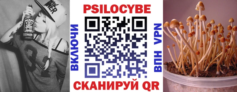 Псилоцибиновые грибы Cubensis  купить  цена  Фурманов 